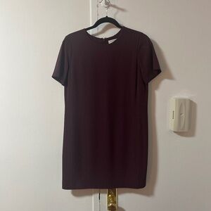 Aritzia Maroon Mini Dress
